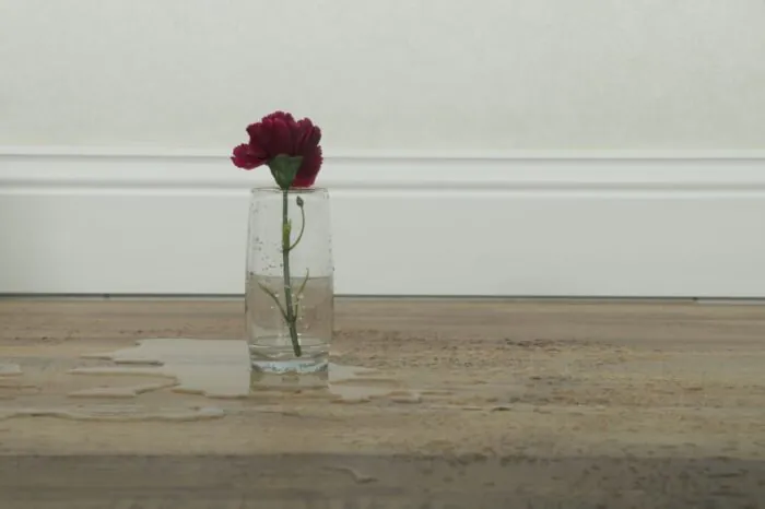 ⁦اس بي سي صيني ايفر فلور Ever Floor SPC-2203⁩ - الصورة ⁦2⁩