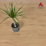 باركيه الماني سوبريور SUP634-1228 7MM SD - الصورة 3