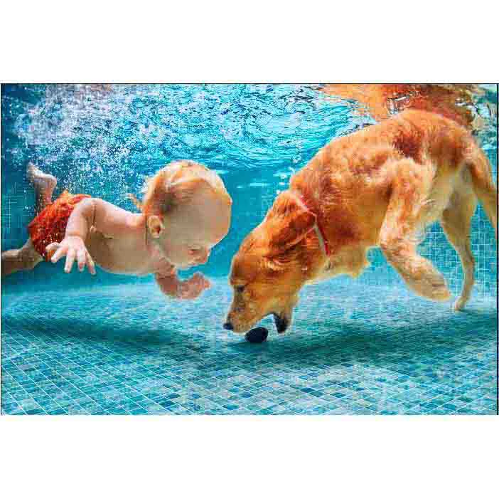 product_image_6745a1eb0ebc5.png خردة اسباني مسابح بالين (2.5x2.5 سم) - الصورة 1