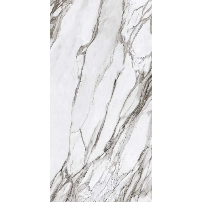 ⁦بورسلين هندي اركتك فوكس - CO⁩ - الصورة ⁦1⁩